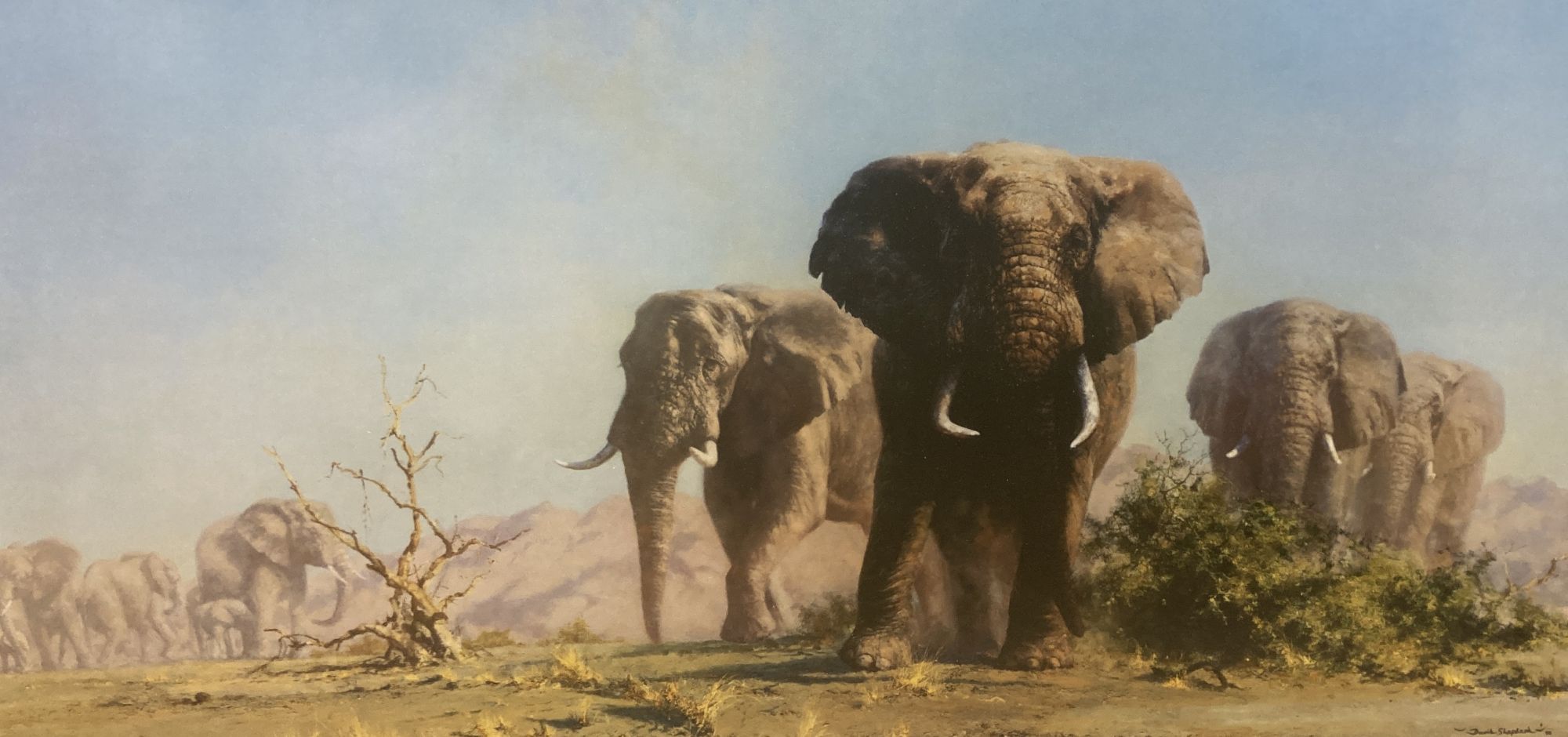 David Shepherd, limited edition print, Luangwa Evening, signed, 185/1500 and The Ivory is Theirs, unsigned, 39 x 73cm and 37 x 75cm